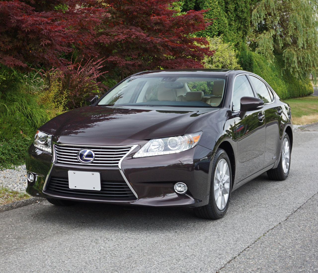 2014 lexus es 300h deals