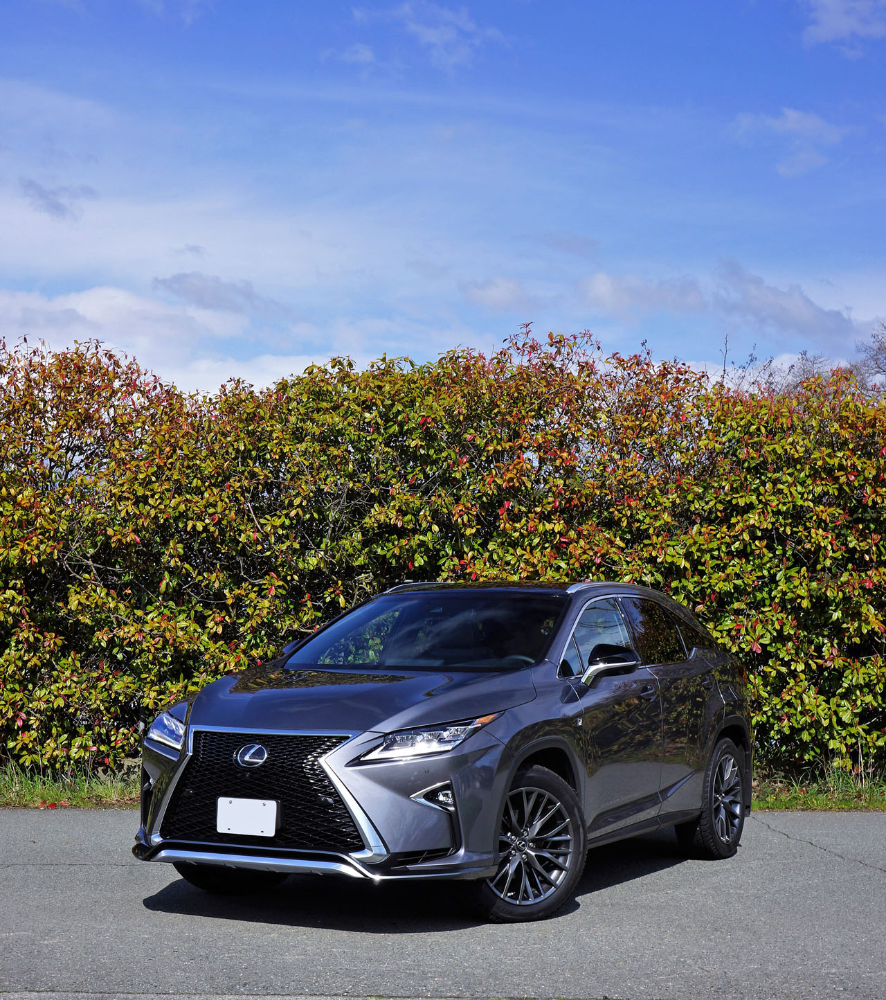 Lexus rx f sport. Лексус r 350. Лексус РХ 350. Lexus РХ 350. Лексус РХ 350 F.